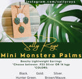 Mini Monstera Collection Set
