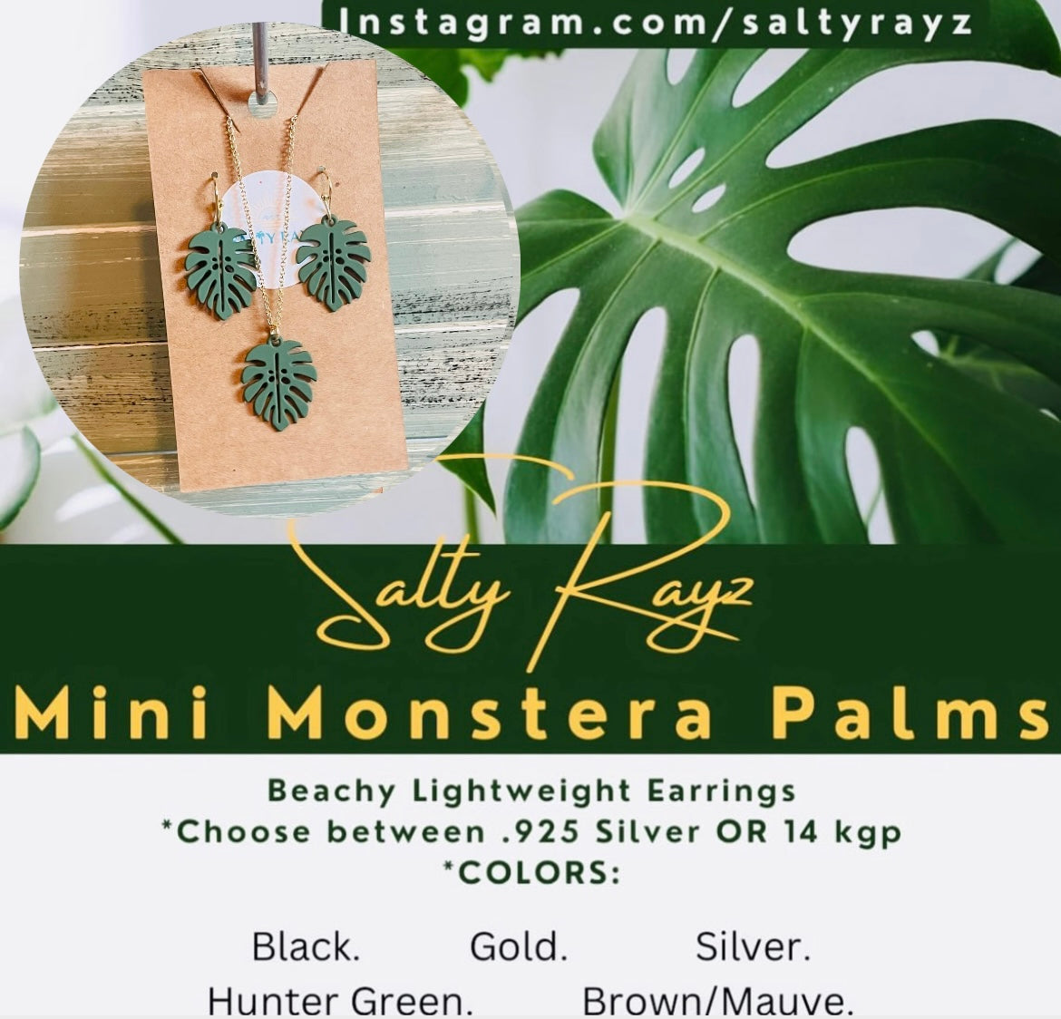 Mini Monstera Collection Set