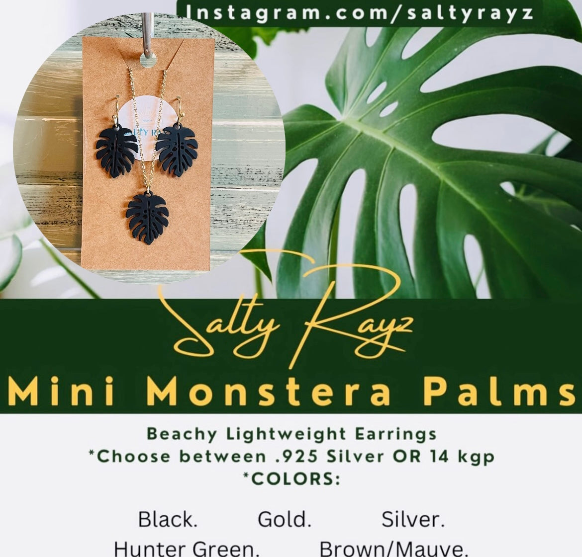 Mini Monstera Collection Set